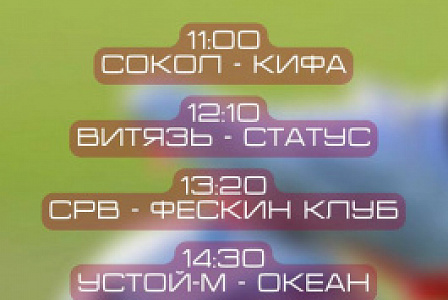 Десятый тур кубка Федерации